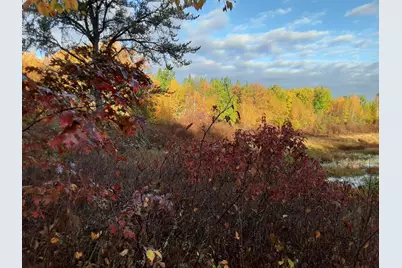 31538 County 23, Akeley, MN 56433 - Photo 35