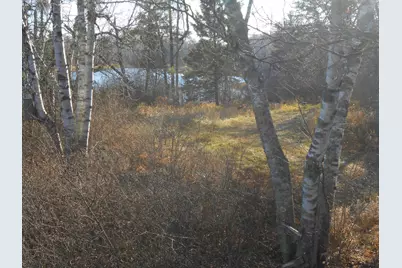 31538 County 23, Akeley, MN 56433 - Photo 59