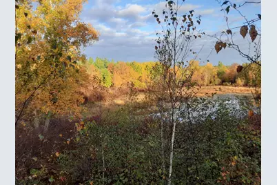 31538 County 23, Akeley, MN 56433 - Photo 53