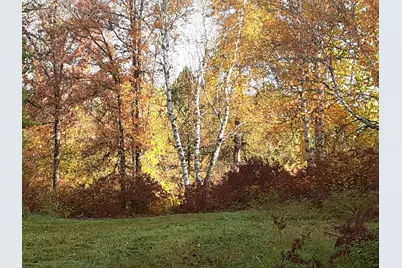 31538 County 23, Akeley, MN 56433 - Photo 65