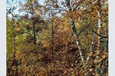 31538 County 23, Akeley, MN 56433 - Photo 67