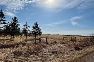 3993 County Rd 135, Kettle River, MN 55757 - Photo 63