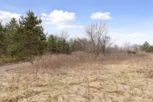 10 Sunnyside Ln, Sunfish Lake, MN 55118 - Photo 9