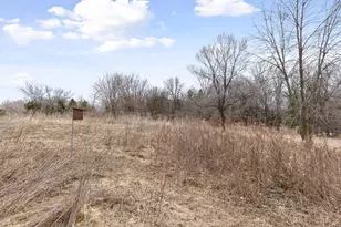 10 Sunnyside Ln, Sunfish Lake, MN 55118 - Photo 7