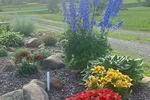 15274 85th Ave NE, Foley, MN 56329 - Photo 11