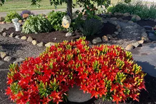 15274 85th Ave NE, Foley, MN 56329 - Photo 5