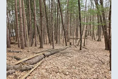 E5310 732nd Avenue, Menomonie, WI 54751 - Photo 5