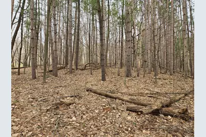 E5310 732nd Avenue, Menomonie, WI 54751 - Photo 7