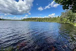 1804 N Bay Rd, Ely, MN 55731 - Photo 5