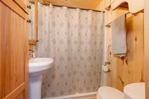 49616 Center Point Rd, Bigfork, MN 56628 - Photo 19