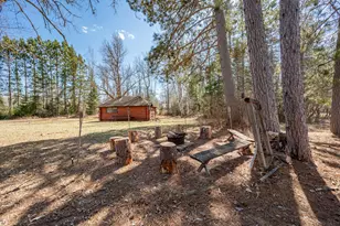 49616 Center Point Rd, Bigfork, MN 56628 - Photo 49