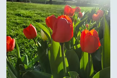 517 Springen Avenue, Fergus Falls, MN 56537 - Photo 53