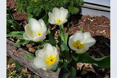 517 Springen Avenue, Fergus Falls, MN 56537 - Photo 51