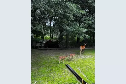 14315 250th Avenue NW, Zimmerman, MN 55398 - Photo 29