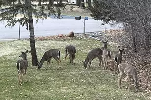 14315 250th Ave NW, Zimmerman, MN 55398 - Photo 31