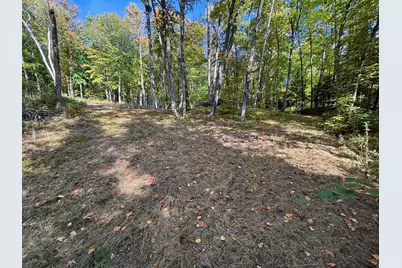 Tbd North Sherrys Arm Road, Grand Rapids, MN 55744 - Photo 5