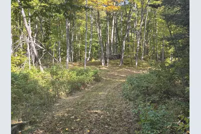 Tbd North Sherrys Arm Road, Grand Rapids, MN 55744 - Photo 3