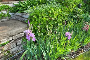 655 Keller Pkwy, Little Canada, MN 55117 - Photo 61