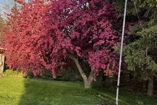 12520 440th St, Wanamingo, MN 55983 - Photo 33