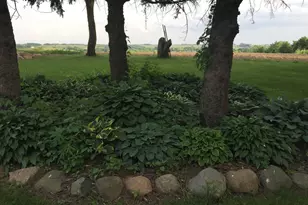 12520 440th St, Wanamingo, MN 55983 - Photo 13