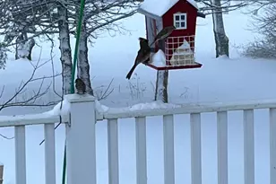 12520 440th St, Wanamingo, MN 55983 - Photo 41