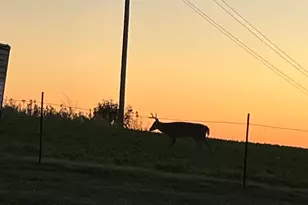 12520 440th St, Wanamingo, MN 55983 - Photo 31