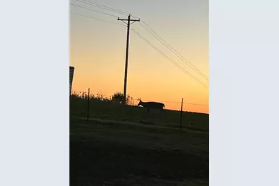 12520 440th Street, Wanamingo, MN 55983 - Photo 7