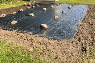 12520 440th St, Wanamingo, MN 55983 - Photo 5