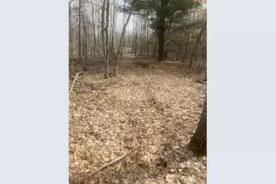 249Xx Gile Road, Grantsburg, WI 54840 - Photo 3