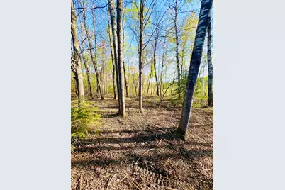 Tbd Mallard Place, Sandstone, MN 55072 - Photo 1