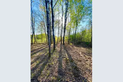 Tbd Mallard Place, Sandstone, MN 55072 - Photo 3