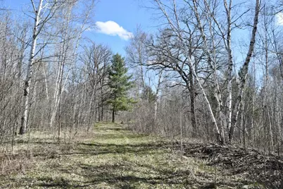 38922 County 45, Laporte, MN 56461 - Photo 11