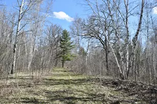 38922 County 45, Laporte, MN 56461 - Photo 11