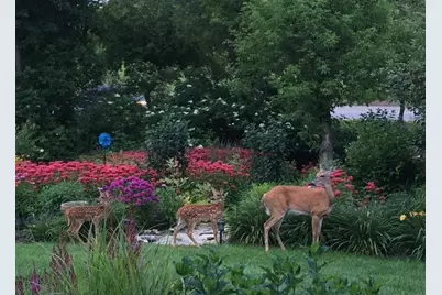 2619 Tuxedo Lane NW, Rochester, MN 55901 - Photo 3