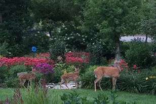 2619 Tuxedo Ln NW, Rochester, MN 55901 - Photo 3