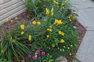 9731 Greenspruce Ct N, Brooklyn Park, MN 55443 - Photo 45