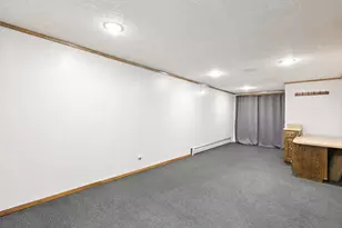 8722 47th St SW, Howard Lake, MN 55349 - Photo 21