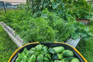 28260 120th St NW, Zimmerman, MN 55398 - Photo 29