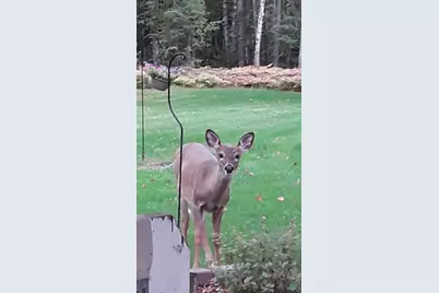 6491 S Old Lyman Lake Road, South Range, WI 54874 - Photo 45