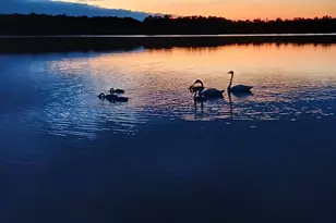 1337 Mahogany St, Braham, MN 55006 - Photo 21