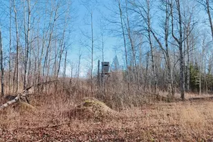 10478 Leander Rd, Angora, MN 55703 - Photo 31