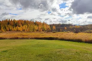 10478 Leander Rd, Angora, MN 55703 - Photo 9