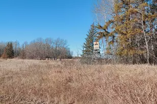 10478 Leander Rd, Angora, MN 55703 - Photo 33