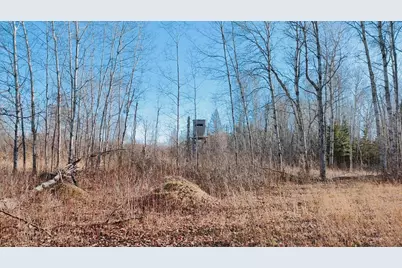 10478 Leander Road, Angora, MN 55703 - Photo 29