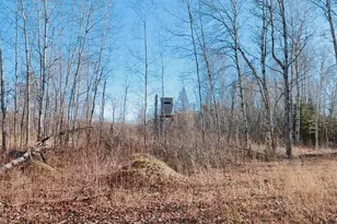 10478 Leander Rd, Angora, MN 55703 - Photo 29