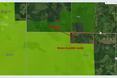 10478 Leander Road, Angora, MN 55703 - Photo 3