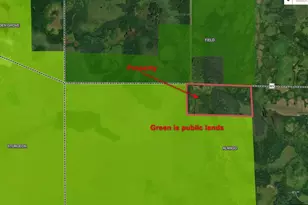 10478 Leander Rd, Angora, MN 55703 - Photo 3