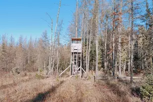 10478 Leander Rd, Angora, MN 55703 - Photo 35