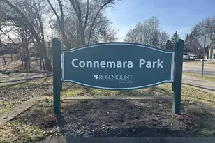 14075 Dartmouth Path, Rosemount, MN 55068 - Photo 45