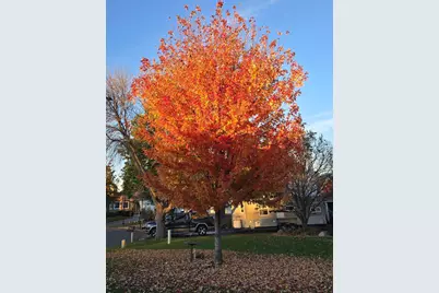 3882 121st Circle NW, Coon Rapids, MN 55433 - Photo 47